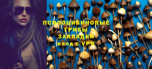 spice Алексин