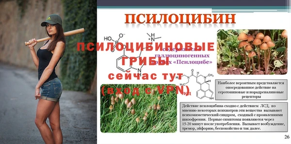 spice Алексин