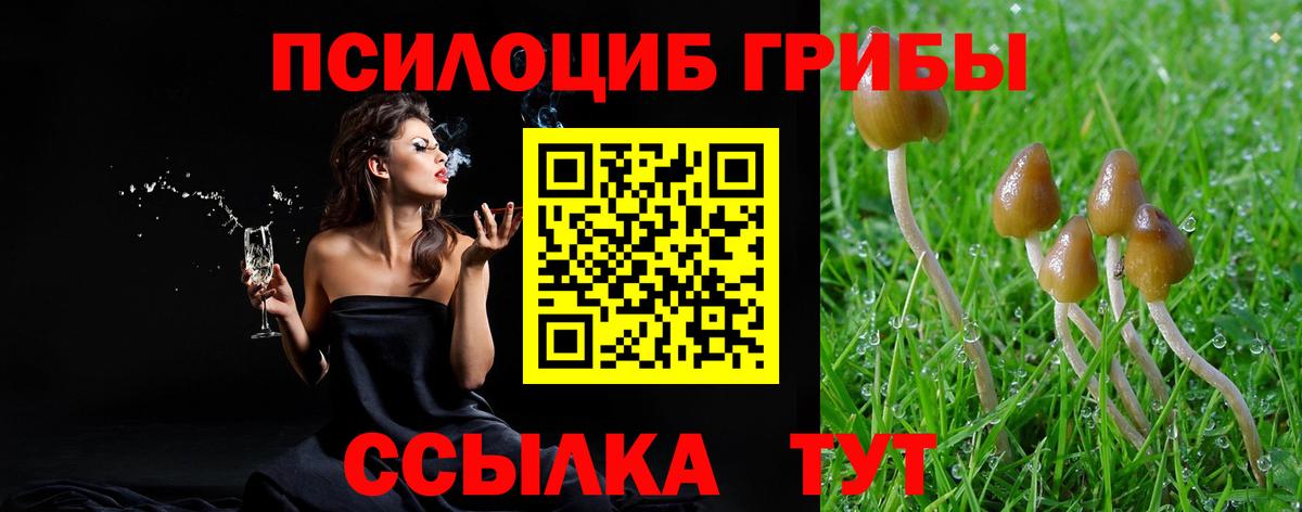 Галлюциногенные грибы Psilocybe Сатка